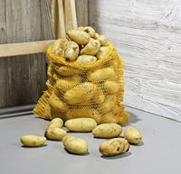 Sacs en filet verts 50*80 cm 25kg 30kg pour pommes de terre, oignons, maïs, choux, ail - Vente en gros