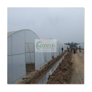 Serres agricoles Système d'énergie solaire Serre à lunettes <span class=keywords><strong>de</strong></span> soleil à led Serre à <span class=keywords><strong>tunnel</strong></span> unique - Product Image 4