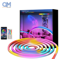 Bande lumineuse LED néon RVB adressable 5V USB WS2812B 360 LED, contrôle intelligent par application Bluetooth, synchronisation musicale, tube flexible pour enseignes intérieures