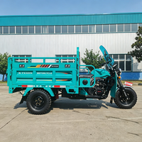 Tricycle de transport de marchandises OEM personnalisé à moteur 200CC refroidi par air, avec démarrage à distance, pour opérations agricoles de transport de matières premières