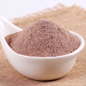 Organic Natural Coco Malaysian Indonesia Wholesale 10 12 Drink 1kg 25kg Raw Bean Alkalized Cocoa Powder Manufacturer Trade