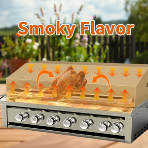 EU 6 <b>Burner</b> 304 Stainless Steel Outdoor Garden Gas with Rotisserie & Infrared <b>Burner</b> - Product Image 4