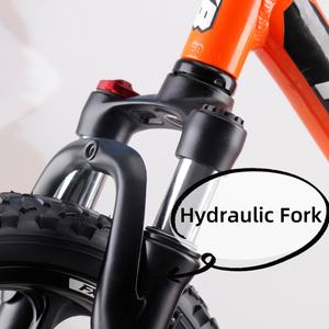 Vélo électrique FXB 16 pouces avec moteur de moyeu 350W, vélo d'équilibre avec fourche hydraulique - Product Image 5
