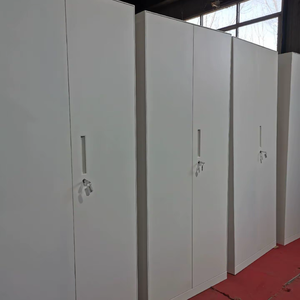 خزانة مكتب من الصلب للبيع بالجملة ، خزانة لحفظ الملفات ببابين ، باب متأرجح مع 4 أرفف - Product Image 3