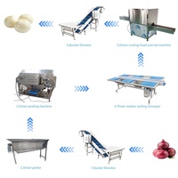 Industriële uienpelschilmachine met 1 jaar motorgarantie CN;HEN Productiecapaciteit voor fruit- en groenteverwerking