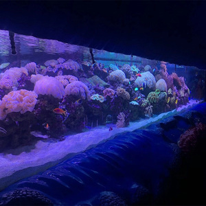 Hochklare Sofort Lieferbare Preiswerte Kratzfeste Ozeanwelt-Aquarium Acryl-Fischbecken - Product Image 6