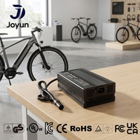 Chargeur de vélo électrique 25,2 V 25 A, chargeur au lithium, connecteur personnalisé OEM, système de protection multi-sécurité, alimentation 900 W