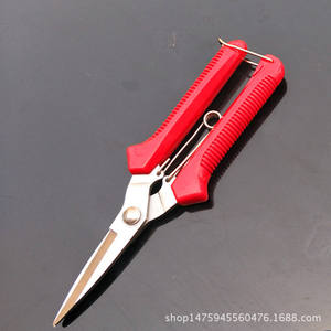 กรรไกรตัดแต่งกิ่งไม้พุ่มวิสทีเรีย 55 มม. สแตนเลสสตีล หัวตรง ดีไซน์แบบผีเสื้อ สำหรับตัดแต่งต้นไม้ผลไม้ในสวน - Product Image 1