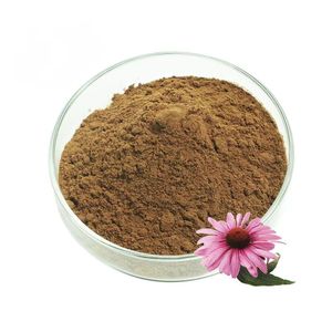 Chất lượng cao hòa tan trong nước <span class=keywords><strong>Echinacea</strong></span> Purpurea chiết xuất bột <span class=keywords><strong>Echinacea</strong></span> 4% polyphenol <span class=keywords><strong>Echinacea</strong></span> bột - Product Image 2
