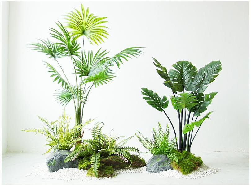 Ensemble Pu Kui + Arbre à Tortues