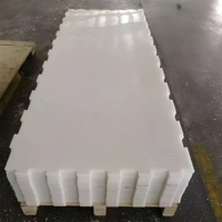 Planche à roulettes portable en plastique ZSPE avec roues lisses pour les jeux et l'apprentissage en plein air des enfants