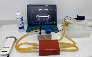 Tragbares Modul für Ultraschallgesteuerte Gefäßpunktion, Artero-Venen-Punktion & PICC-Katheterisierungs-Schulung - Product Image 4