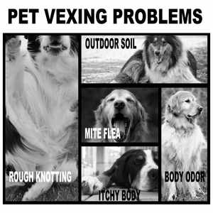 Shampoo <span class=keywords><strong>pour</strong></span> animaux de compagnie YEGBONG, produits biologiques <span class=keywords><strong>pour</strong></span> animaux de compagnie, shampooing <span class=keywords><strong>pour</strong></span> chiens, nettoyage <span class=keywords><strong>pour</strong></span> animaux de compagnie, bain <span class=keywords><strong>pour</strong></span> animaux de compagnie, huile essentielle végétale <span class=keywords><strong>pour</strong></span> animaux de compagnie, shampooing <span class=keywords><strong>anti</strong></span>-démangeaisons <span class=keywords><strong>pour</strong></span> chiens et chats - Product Image 2