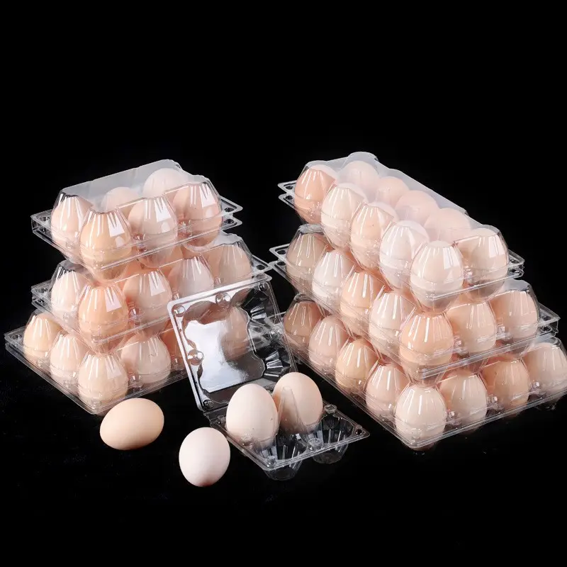 4 6 8 9 10 12 15 16 20 30 Trous Transparent Jetable Bliser Egg Carton Transparent Plastique Egg Tray pour Farmer