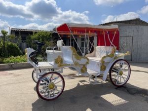 Voiture électrique nouvelle génération, type calèche de tourisme, avec sièges bleus, économique, pour transport spécial - Product Image 2