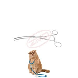 ZMD คีมหนีบลำไส้สแตนเลสสำหรับกระดูกเครื่องมือผ่าตัดที่มีความยาวโค้ง23เซนติเมตร - Product Image 1