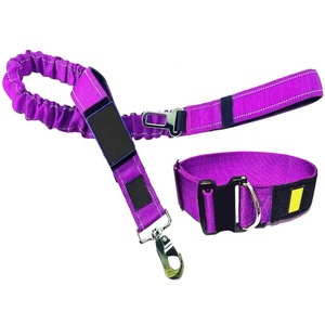 <span class=keywords><strong>Collar</strong></span> de perro táctico de entrenamiento grueso de nailon verde azulado de doble capa personalizado - Product Image 4