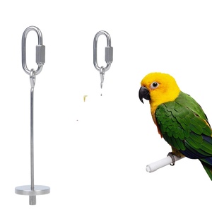 Alimentation pour oiseaux de compagnie : Brochettes en acier inoxydable pour viande, fruits et légumes – Qualité supérieure 2020 - Product Image 2