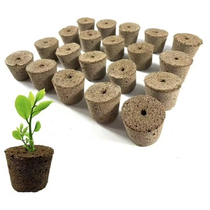 Pods hydroponiques carrés, bouchons de semis, éponges de croissance rapide pour les racines, cubes de remplacement pour les graines de légumes - Product Image 1