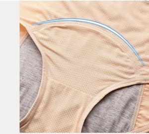 Customized <strong>Plus</strong> <strong>Size</strong> M-8XL Mesh Breathable Nylon <strong>Period</strong> <strong>Panties</strong> - High Waist Anti-Leak Menstrual Underwear - Reusable Postpartum - Product Image 4