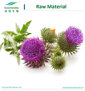 Silymarin 80% UV Silybum Marianum ekstrak Blessed Thistle Powder - Product Image 2