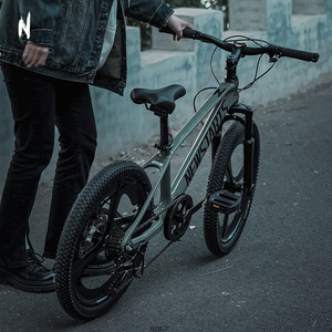 Bicicleta de Montaña para Niños Newstarts de 20 Pulgadas con Horquilla de Suspensión, Multivelocidad, Unisex - Product Image 2