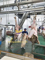 Ligne d'abattage des moutons avec machine à retirer la peau des chèvres, équipement d'abattoir pour le bétail