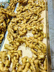 Gừng Để Bán Gừng Khô Với Giá Tốt - Product Image 6