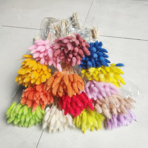 <span class=keywords><strong>Lagurus</strong></span> préservé fleurs séchées plantes fleur sèche <span class=keywords><strong>Lagurus</strong></span> pour arrangement floral lapin queue herbe - Product Image 1