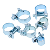 Colliers de serrage miniatures en zinc bleu et blanc |   Petits clips de fixation à vis pour conduites de carburant, tuyaux d'air et tubes d'eau
