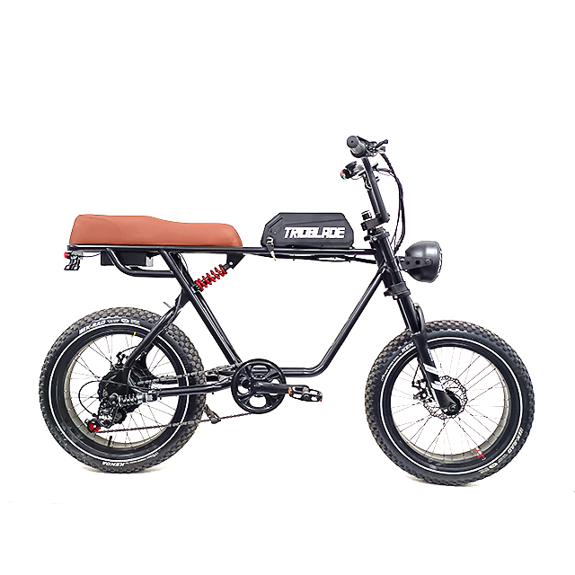 Cheap Electric Bikes Electric Bike Adult Chinese Electric Bike