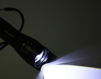 Lampe torche LED rechargeable portable, lumière blanche et ultraviolette combinées, 2 en 1, lampe torche UV 395 nm