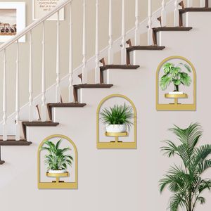 2 packs d'étagères murales flottantes en métal <span class=keywords><strong>pour</strong></span> plantes d'intérieur, seuil <span class=keywords><strong>de</strong></span> <span class=keywords><strong>fenêtre</strong></span>, <span class=keywords><strong>pour</strong></span> chambre à coucher, salle <span class=keywords><strong>de</strong></span> bain, salon, pot <span class=keywords><strong>de</strong></span> fleurs, <span class=keywords><strong>support</strong></span> <span class=keywords><strong>de</strong></span> <span class=keywords><strong>jardinière</strong></span> - Product Image 2