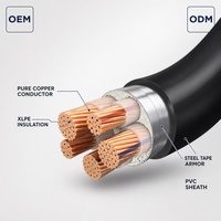 Cable de alimentación subterráneo blindado de baja tensión 0.6/1kV de cobre PVC YJV YJV22 YJLV YJLV22 1.5-400mm 1-5 núcleos STA