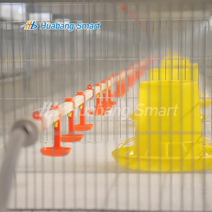 Broiler için tam otomatik gübre çıkarma sistemi tavuk kümesi H tipi tavuk kafesi - Product Image 2