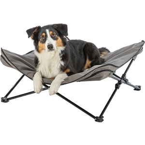 Accessori <span class=keywords><strong>per</strong></span> animali domestici rareve lettino da campeggio <span class=keywords><strong>per</strong></span> <span class=keywords><strong>cani</strong></span> Logo personalizzato lettino da viaggio rialzato pieghevole letto imbottito <span class=keywords><strong>per</strong></span> <span class=keywords><strong>cani</strong></span> di taglia media - Product Image 1