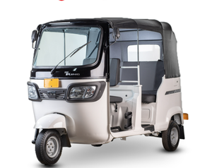 Triciclo Motorizado Cerrado TVS-King Duramax-Plus de 200cc, 5 Pasajeros, Tuktuk, Transporte Urbano para Pasajeros y Carga - Product Image 4