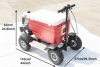 Prix de gros d'usine, scooter refroidisseur à moteur sans balais à essence 4 temps 40cc, capacité de 48L, pour adultes, utilisation en extérieur
