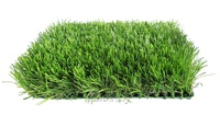Gazon artificiel, prix, décoration paysagère, tapis de jardin, gazon synthétique