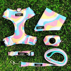 Collar de correa de perro de diseño personalizado, juego de lazos, arnés de nailon de neopreno, pecho pequeño, ajustable, correa de perro personalizada para gato - Product Image 1