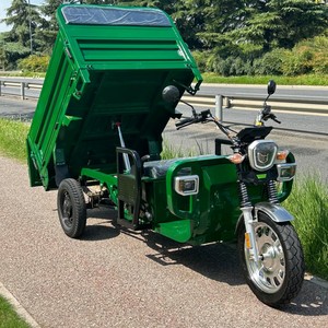 Tricycle électrique certifié Autohoist 45 km/h EEC COC en stock moteur haute puissance <span class=keywords><strong>moto</strong></span> à trois <span class=keywords><strong>roues</strong></span> batterie 58 Ah - Product Image 4