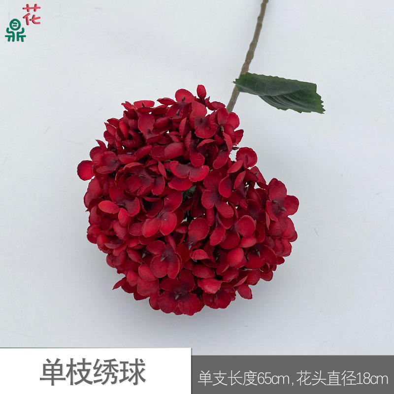 ไฮเดรนเยียก้านเดี่ยว สีเบอร์กันดี