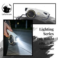 Laisse de chien rétractable automatique avec corde LED pour chiens de petite et moyenne taille, en nylon