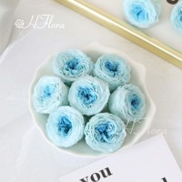 Chaude Arrangement De Fleurs Préservées Austin Pivoine Parfaite Comme Austin Rose Préservée Tête De Fleur Immortelle