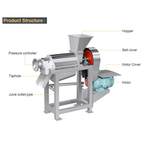 Zumex Sinaasappelsap Machine/Passievruchtensap Machine/Vruchtensap Extractie Machine