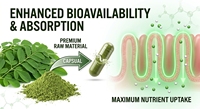 Capsules de Moringa Oleifera à base de plantes naturelles, riches en nutriments, pour soutenir la vitalité du corps