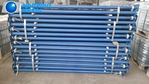 Thép có thể điều chỉnh chống đỡ mạ kẽm hoặc sơn xây dựng vật liệu xây dựng cho nhà xây dựng puntal Robusto - Product Image 3