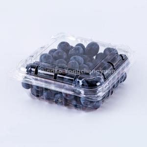 Tek kullanımlık vakum şekillendirme plastik pet yabanmersini konteyner 125gr meyve punnet kapaklı - Product Image 1