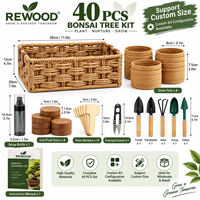 Vente en gros de 40 kits de culture de bonsaï avec outils, pots, graines, panier, étiquette privée OEM