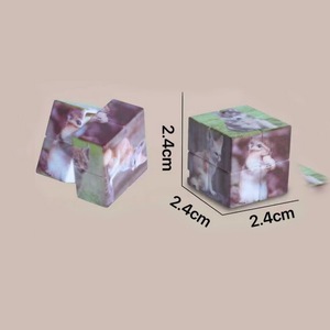 <span class=keywords><strong>Cube</strong></span> magique 2x2 à deux couches pour enfants, en plastique UV, jouet amusant - Product Image 5